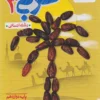 عربی دوازدهم انسانی خیلی سبز