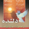 کتاب دلداده در حسرت دیدار دوست _ اثر زهرا قزلقاشی