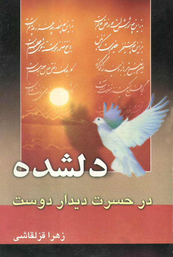 کتاب دلداده در حسرت دیدار دوست _ اثر زهرا قزلقاشی