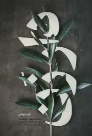 دارزن