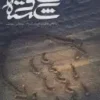 سکوت شکسته