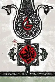 بی برادر